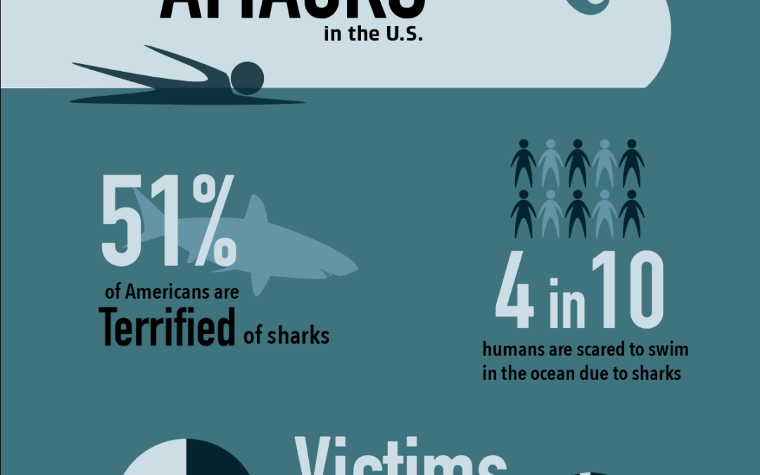 Shark Attack Infographic